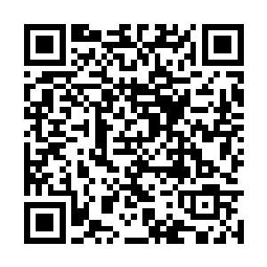 而且更为夸张的是许紫烟将这些草药分成了两部分二维码生成