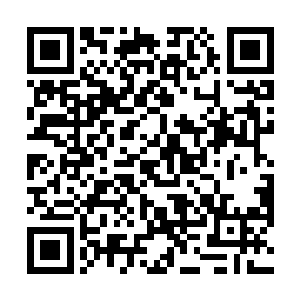 而且更重要的是他们都十分的清楚炼化圣山代表着什么二维码生成