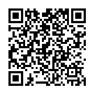 而且最糟糕的是像黎阳这边似乎根本就没有吃猕猴桃的习惯二维码生成