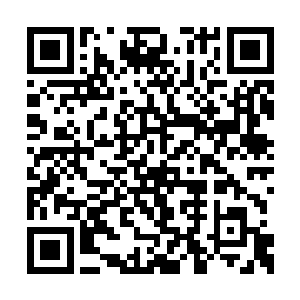 而且有一股阴寒霸道的法力涌入的体内大肆破坏二维码生成