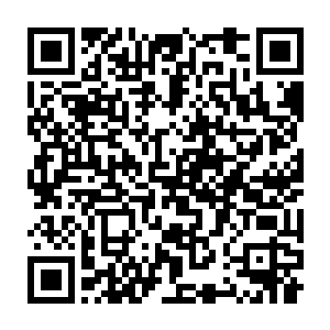而且有大量的龙野散修也带着自己所有的身家和弟子向着望仙城而来二维码生成