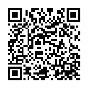 而且李锐交给她的那些口诀其实就是中医的汤头歌二维码生成