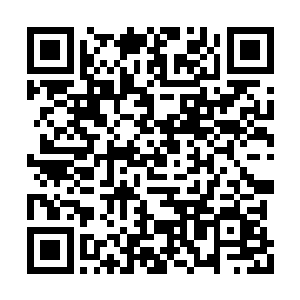 而且来之前已经和临山镇的组织委员向刚联系过二维码生成