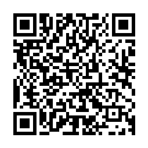 而且此刻这人身上散发出来的五彩光芒似乎也蕴藏了极大的玄机二维码生成