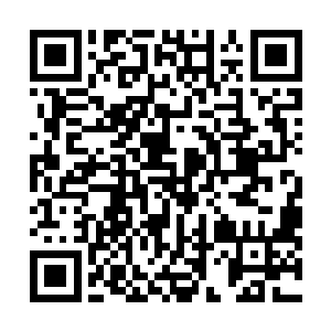 而且此时龙傲天也能够清楚的感受到万法金胎此时的情况二维码生成