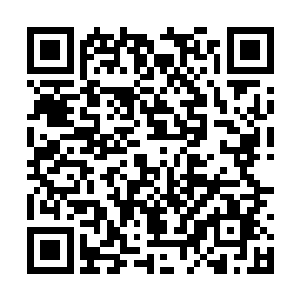 而且洛水嫣还有苏媛媛近来怎么样苏凡也是不知道二维码生成