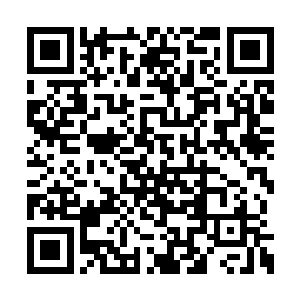 而且清算下这么多年下来道门对你们的特别照顾二维码生成