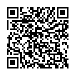 而且现在以别墅为目标的范围都已经乱成一团了二维码生成