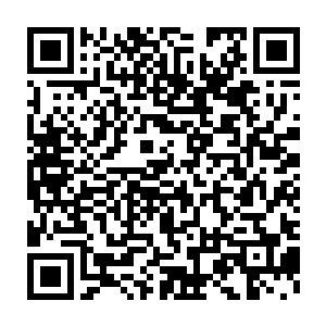 而且现在大家都知道陆书记在经济发展这一块上是基本上是放手了二维码生成