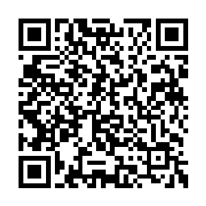 而且现在对杨戬来说也并不是选择最厉害的功法二维码生成