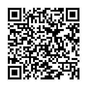 而且男主角还都是同一个胖子的……这也太倒胃口了吧二维码生成