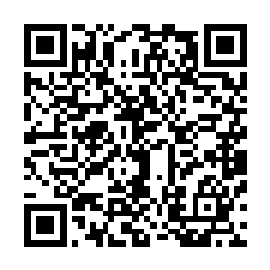 而且看到这雷雷火狮王的样子根本还没有然和要退让的意思二维码生成