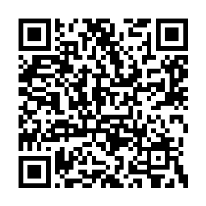 而且眼前的这条大青蛇对我似乎并没有什么恶意二维码生成