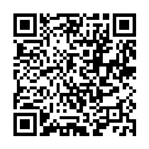 而且紫云他们的师傅居然也是带领人类大军的王之一二维码生成