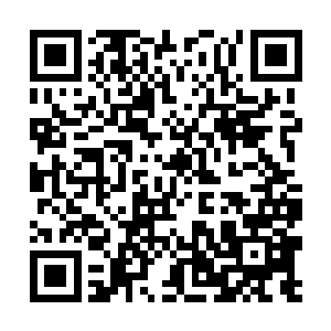 而且自己一直都记得阿璃最不喜欢的就是饿着肚子了二维码生成