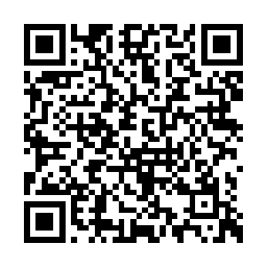 而且许紫烟也想要知道紫级和圣级究竟有的差距二维码生成