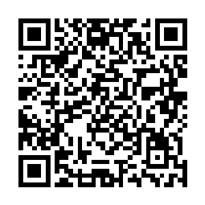 而且许紫烟此时已经断定手中的那半根黑色羽毛也是凤尾二维码生成