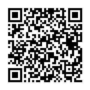 而且许紫烟此时释放出来的界只是时间属性的界二维码生成