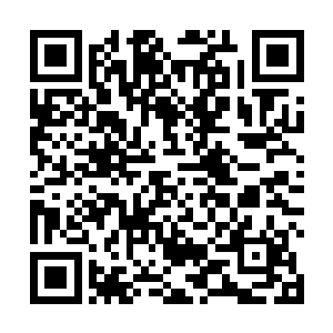 而且跟极端原教旨作斗争的穆斯林女性好像还特别闹腾二维码生成