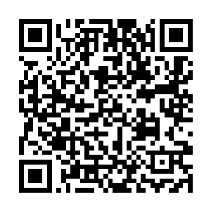 而且路上没过脚面的野草和时不时被草叶割伤的痛感二维码生成