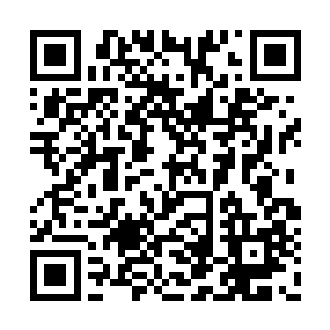 而且身为他信仰之基的菩提树也因此而严重受损二维码生成