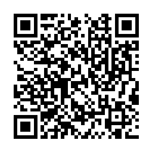 而且身为副班长的廖猛的确有权力约束同学的行为二维码生成