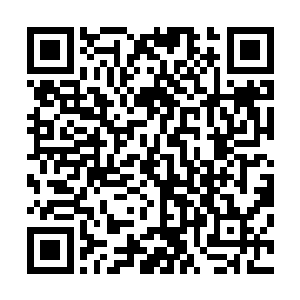 而且还不知死活的把这千余只不死吞天虫当做食物尽数吞下二维码生成
