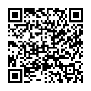 而且还不知道这次去火焰山能不能搞到呢其他四种材料二维码生成