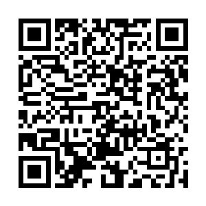 而且还会有三十年的包括教育在内的综合优惠政策二维码生成