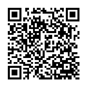 而且还如同楚航那样拥有了召唤雷元素生命体的能力二维码生成