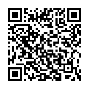 而且还将废土之地的狼爷追的到处跑的那个夏天二维码生成