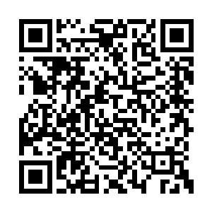 而且还得像木偶一样站在大门后迎接往来的客人二维码生成