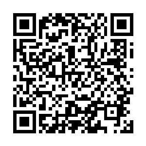 而且还拥有了巨型木乃伊那不逊于不朽强者的力量和体魄二维码生成