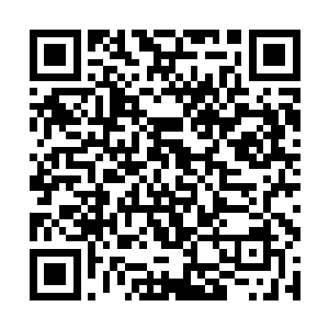 而且还是以一种看好戏的心态在看着眼前发生的一切二维码生成