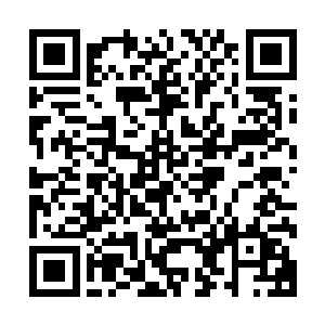 而且还是秦方一手成就了小海皇波塞希努力了许久的梦想……二维码生成
