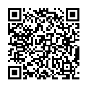 而且还是被一个看起来才三四岁的小女孩给轻轻的揉碎了二维码生成