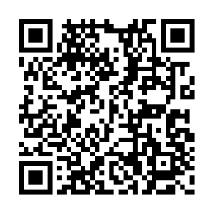 而且还是被剑城所有人剑修推举出来的剑术大家二维码生成