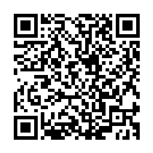 而且还特意花了两百多块钱买了一部记者采访用的高端录音机二维码生成
