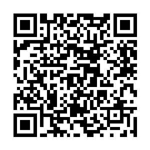 而且这一次龙傲天炼制的丹药几乎没有低于圣品的二维码生成