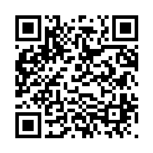 而且这个队伍还特别喜欢开发新英雄二维码生成