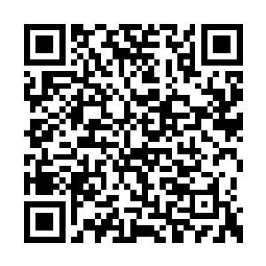 而且这些家伙还没突破不朽境界就已经如此强大二维码生成