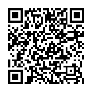 而且这些旧党士大夫清流号称是依附于太子旗号二维码生成