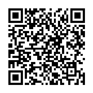 而且这种未成熟就自行结出来的种子是自我保护的一种方式二维码生成