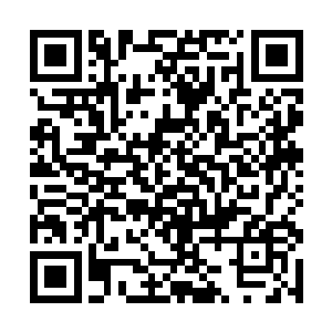 而且这里的一大半筑造师和资源都是由擎天楼提供的二维码生成