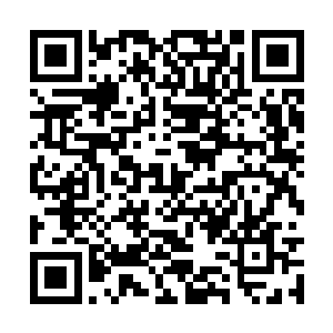 而且这里的妖兽多多少少都会有一点点龙族的血脉二维码生成