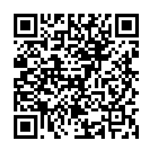 而且这里面的能量还不一定能够让我冲上无极境呢二维码生成