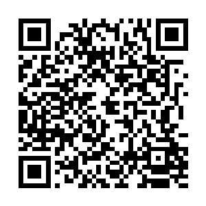 而且进入之后还有可能得到商团聘请的名家指点战技二维码生成