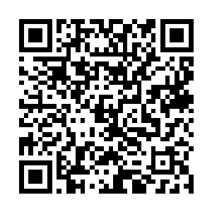 而且那些店铺里面似乎有更多意想不到的饰品啊之类的二维码生成