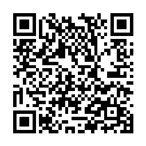 而且那双动人的眸子还和秦洛的眼睛对视了两秒钟二维码生成