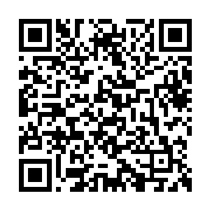 而且那沈寒星竟然还是这具身体前主人的未婚夫二维码生成